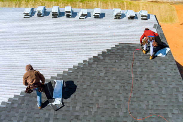 Roof Gutter Cleaning in Aiken, SC